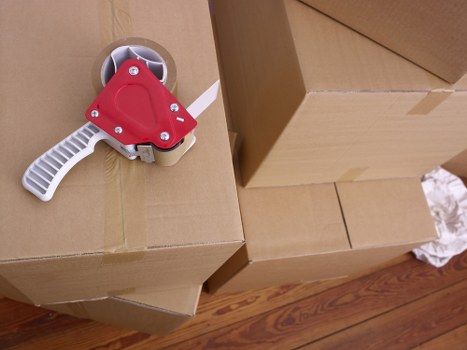 Senior manager assessing an escalated storage issue